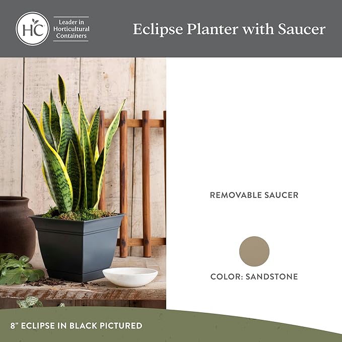 The HC Companies 6 Inch Eclipse Square Planter Pots with Drainage Holes & Attached Saucer, Lightweight UV-Resistant Plastic Indoor Outdoor Planters, 4-Pack Flower Pots for Garden Home Decor, Sandstone
