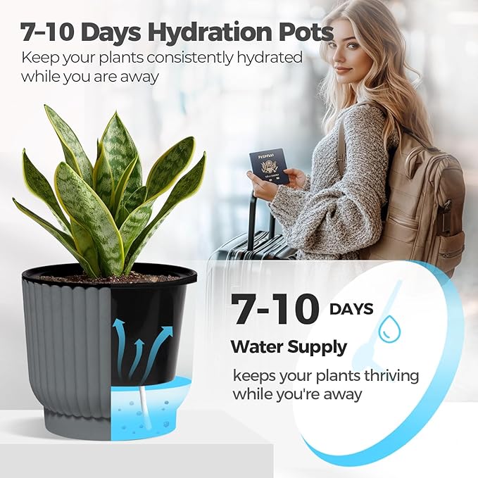 T4U 6 Inch Self Watering Pots for Indoor Plants, 6 Pack Plant Pots, Self Watering Planter for Indoor Plants, Durable Plastic Pots, Flower, Succulents (6 Pack, 6", Gray)