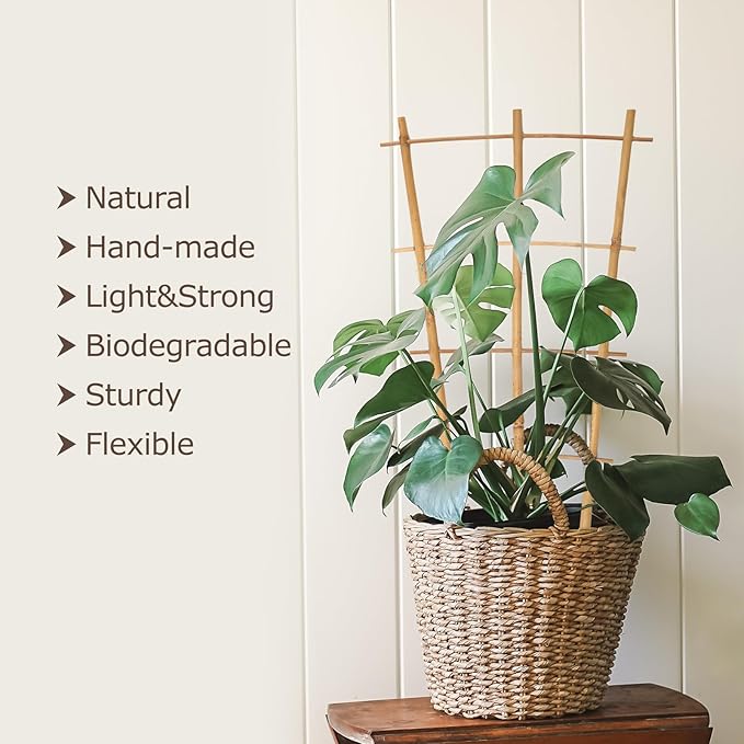Bamboo Trellis 10 Pack, 16in Fan-Shaped Plant Trellis Indoor for Climbing Plants