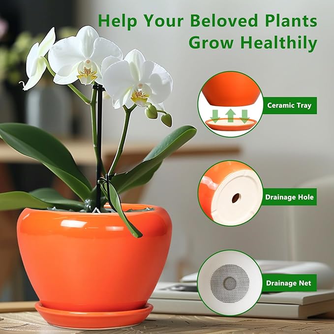 Indoor Plant Pot 8 Inch - Ceramic Plant Pot with Drainage Hole and Saucer, Glaze Decorative Modern Round Planter for Outdoor Plants, Housewarming Gifts, Office Home Garden Decor, Orange
