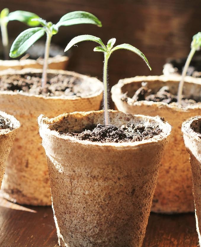 homenote Peat Pots, 3.15/4 Inch 60 Pcs Seed Starting Pots with Drainage Holes Round Nursery Plants Pots with Bonus 20 Plant Labels