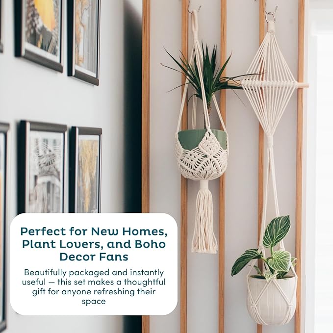 Nook Theory 4-Pack Macrame Plant Hangers with 8 Hooks - Hanging Planters for Indoor Plants, Boho Macrame Hangers Indoor Outdoor, Decorative Plant Hanger Indoor (Black)