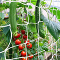 𝐓𝐫𝐞𝐥𝐥𝐢𝐬 𝐍𝐞𝐭𝐭𝐢𝐧𝐠, CANAGROW Heavy-Duty Garden Plant Trellis Netting for Climbing Plants, Outdoor Indoor Grow Net for Beans Tomatoes Peas Pumpkin Flowers, 𝟔 𝐱 𝟑𝟎𝐟𝐭, Pack of 2