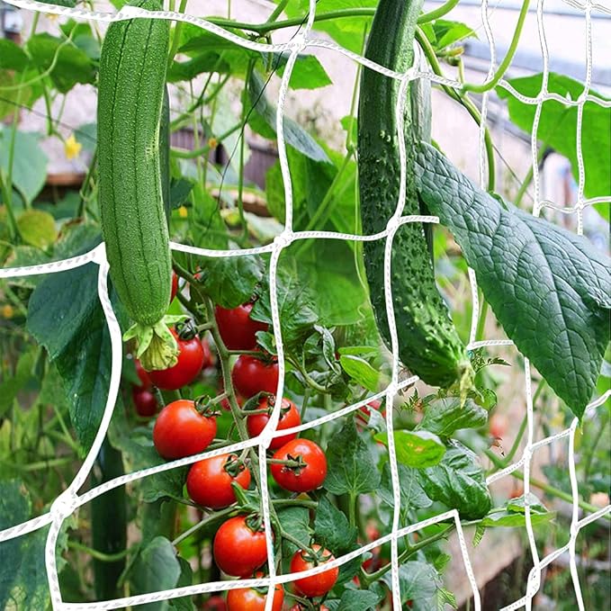 𝐓𝐫𝐞𝐥𝐥𝐢𝐬 𝐍𝐞𝐭𝐭𝐢𝐧𝐠, CANAGROW Heavy-Duty Garden Plant Trellis Netting for Climbing Plants, Outdoor Indoor Grow Net for Beans Tomatoes Peas Pumpkin Flowers, 𝟔 𝐱 𝟑𝟎𝐟𝐭, Pack of 2