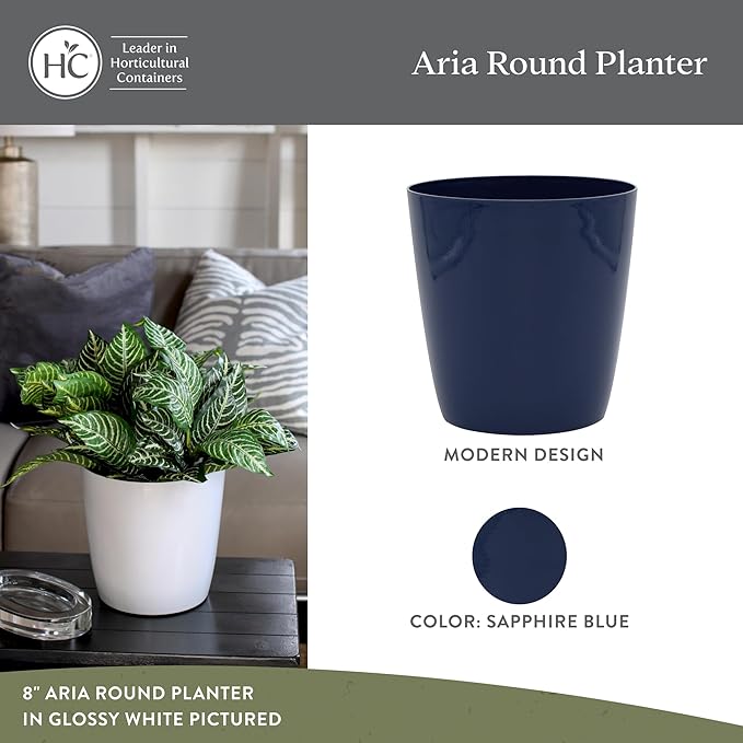 The HC Companies Aria Round Self-Watering Pot - Lightweight Plastic Planter for Herbs & More - Durable Plant Pots for Indoor Plants & Outdoor Plants (6" Sapphire Blue, Pack of 2)