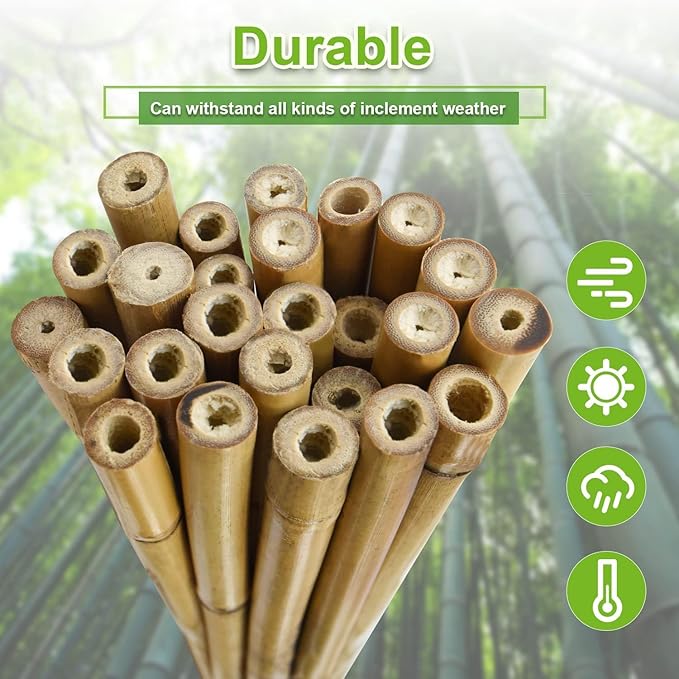 30pcs 3/10" D Thicker Heavy Duty Bamboo Stakes, 2FT Plant Stakes, Natural Garden Stakes for Tomato, Bean, Flowers,Trees Potted and Climbing Plant Support