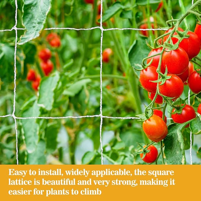 Sukh Garden Plant Trellis Netting -Trellis Net Polyester Trellis Netting Garden Square Mesh for Climbing Plants Fruits Vegetables VinesGrow Tents (4)