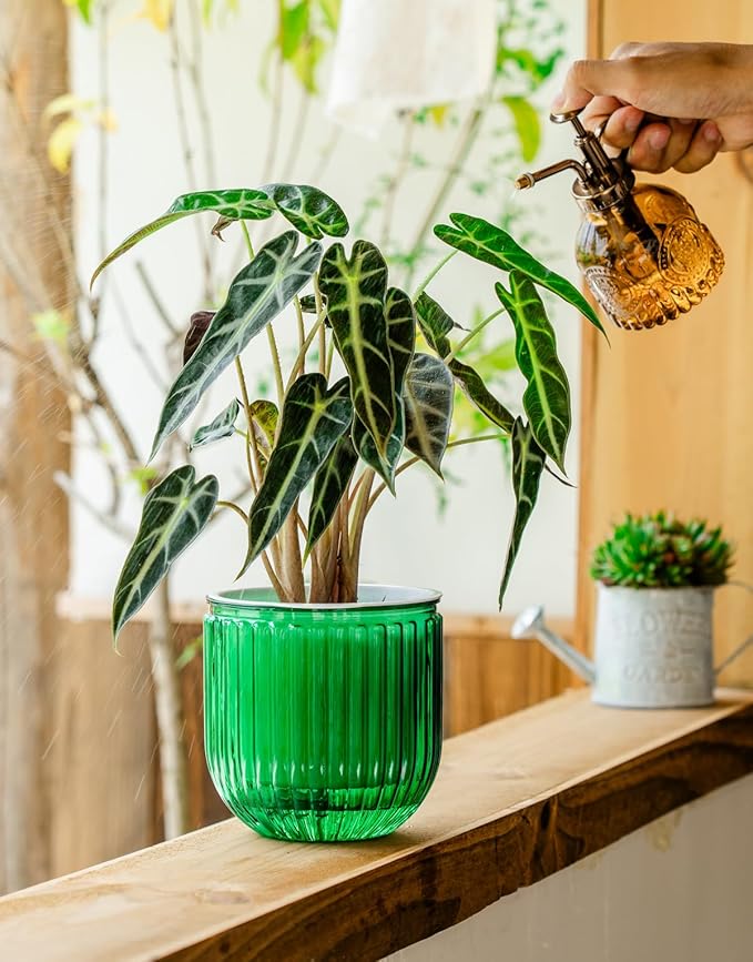 Melphoe Self Watering Pots for Indoor Plants Planter, 6.5/5.3 Inch 2 Pack Planters Self Watering Plant Pots for Flower, Houseplants, Succulent, African Violets and Cactus with Drainage