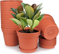 homenote Pots for Plants, 15 Pack 6 Inch Plastic Planters with Multiple Drainage Holes and Tray - Plant Pots for All Home Garden Flowers Succulents