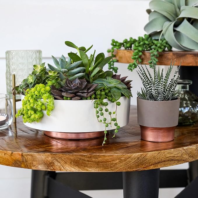 The HC Companies 6 Inch Round Plastic Succulent Capri Bowl 6"x6"x2.25" in Artisan Taupe with Copper Bottom Color