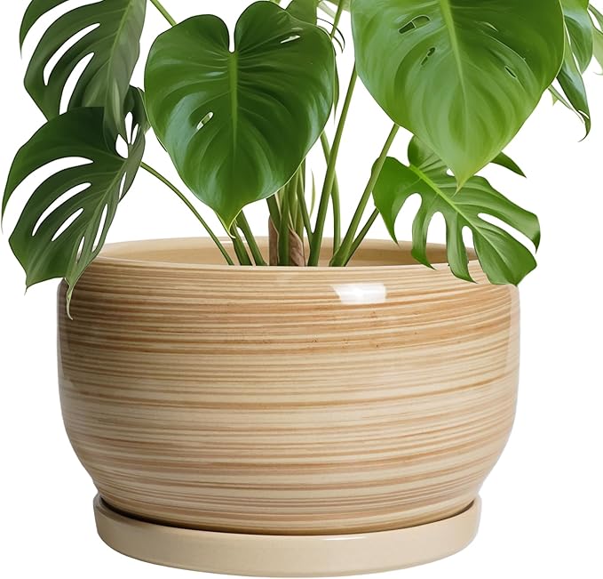 SQOWL Ceramic Plant Pot - 10 Inch Large Planter with Drainage Hole and Saucer, Round Modern Planter for Indoor Plant Outdoor, Decorative Ceramic Flower Pot, Porch Decor, Garden Gift for Women, Yellow