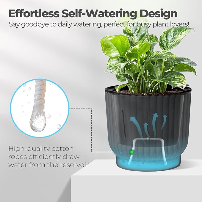 T4U 4 Inch Plant Pots Self Watering, 6 Pack African Violet Pots, Small Plant Pots for Plants, Small Indoor Plant Pot, Self Watering Planter for African Violet, Succulents (6 Pack 4" Pots, Gray)