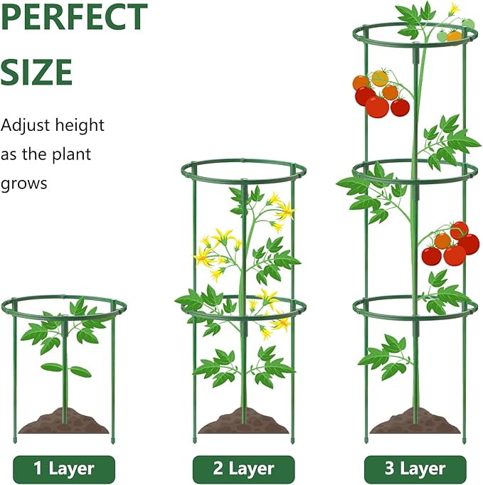 36Packs Plant Support Stake Half Round Plant Support for Indoor Plants, Stackable 3 Tier Garden Flower Support, Plant Rings for Tomato,Monstera, Peony, Hydrangea, Climbing Plants