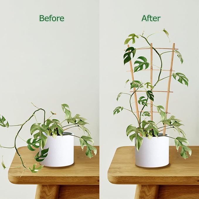 Bamboo Trellis 10 Pack, 16in Fan-Shaped Plant Trellis Indoor for Climbing Plants