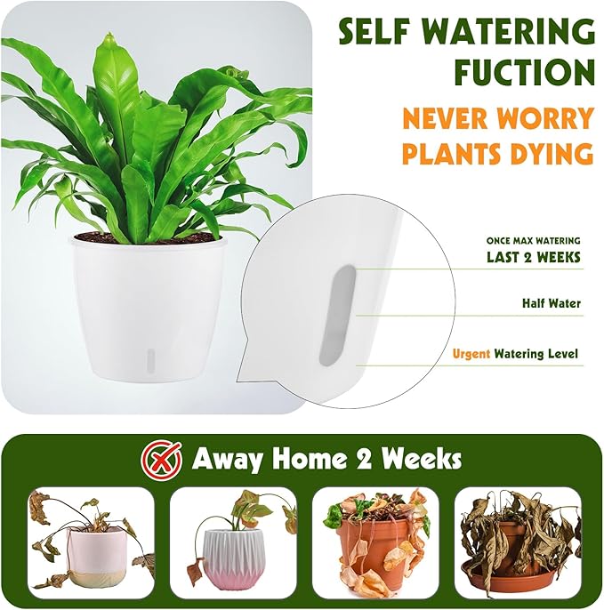 Self Watering Pots for Indoor Plants, 12-Pack 5'' Self Watering Planter with Drainage Holes, Small African Violet Pots with Water Indicator, Clear Wick Pot, White/Black/Blue/Rose Gold