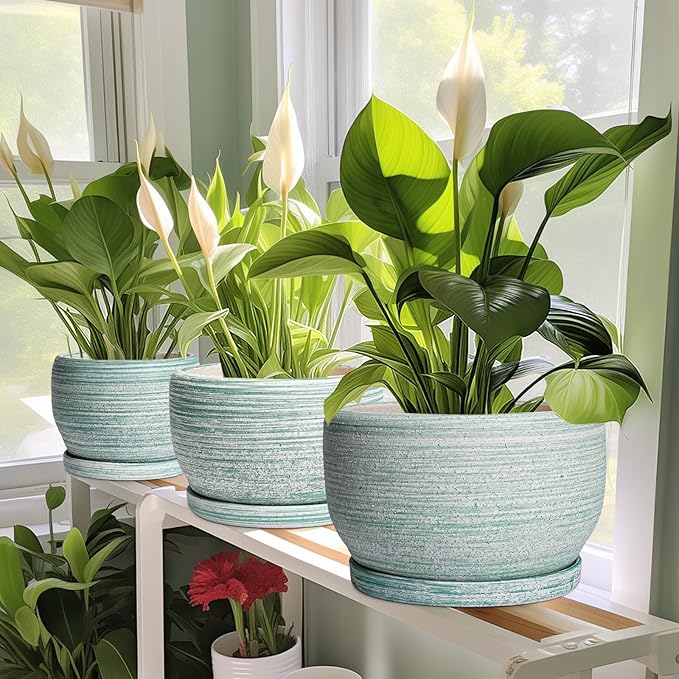 SQOWL Ceramic Pots for Plants - 10 Inch Ceramic Planter for Indoor Outdoor, Modern Round Flower Pot with Drainage Hole and Saucer, Large Planter, Home Office Decor, Gifts for Plant Lovers, Green