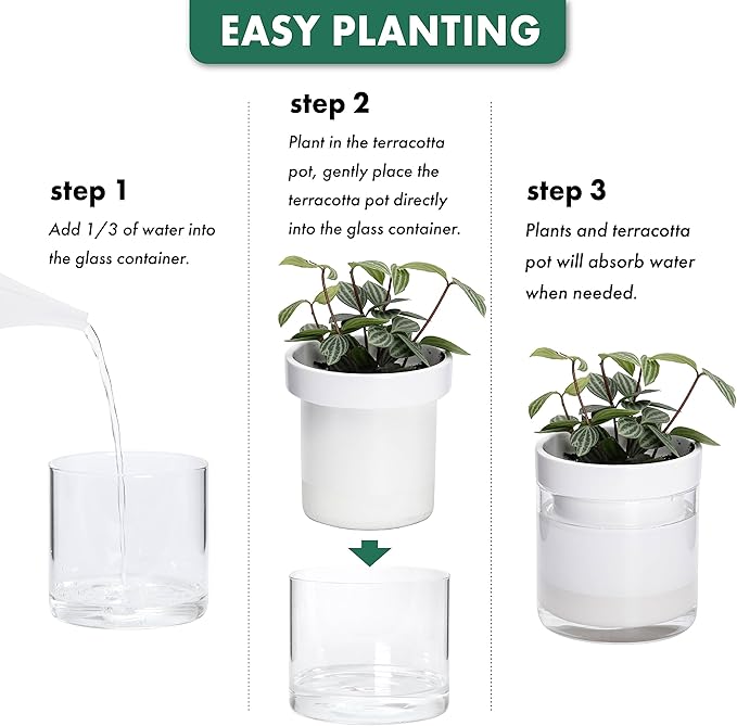 Phoenix Vine 4 Inch Self Watering Planter, White Terracotta Clay Pot with Glass Reservoir for Indoor Plants, Herbs, Flowers, Set of 3, 52-B-E-3