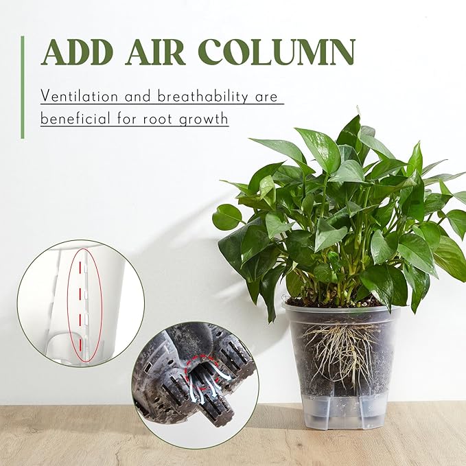 Self Watering Pots for Indoor Plants with Deep Reservoir and High Drainage Holes for Outdoor Plants and Flowers, Bare Root Planter(8.27'',Clear,6 Pcs)