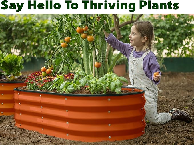Plant & Plot Galvanized Raised Garden Beds Outdoor // 4×2×1 ft (2-Pack) Planter Raised Beds for Gardening, Vegetables, Flowers (Orange) // Large Metal Garden Box