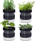 Phoenix Vine 4 Inch Self Watering Planter Pot, Black Terracotta Clay Pot with Glass Reservoir for Indoor Plants, Herbs, Flowers, Set of 4, 52-C-E-4