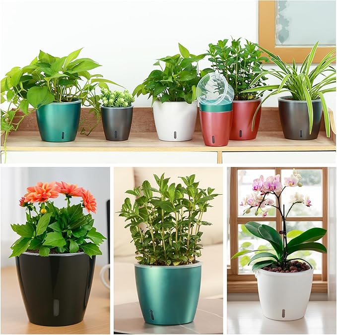 Self Watering Pots for Indoor Plants, 6-Pack 5'' Self Watering Planter with Drainage Holes, Small African Violet Pots with Water Indicator, Clear Wick Orchid Pot, Grey
