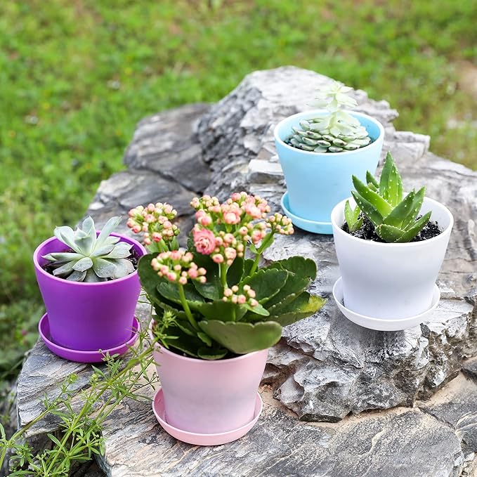 TDHDIKE 10 Pcs Plastic Planters Indoor Flower Plant Pots, Mini Flower Seedlings Nursery Pot/Planter/Flower Pot with Pallet, Modern Decorative Gardening Containers (Purple)