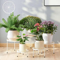 Plant Stand,5 Pack Heavy Duty Flower Pot Stands,Metal Decoration Racks,Round Plant Shelf for Planter Outdoor and indoor (White)