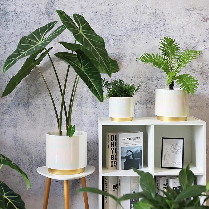 Gepege White Indoor Plant Pots for Plants, Large Ceramic Planter with Drainage Hole, 9.6-inch Succulent Orchid Flower Pot - Rainbow Pearl Glaze
