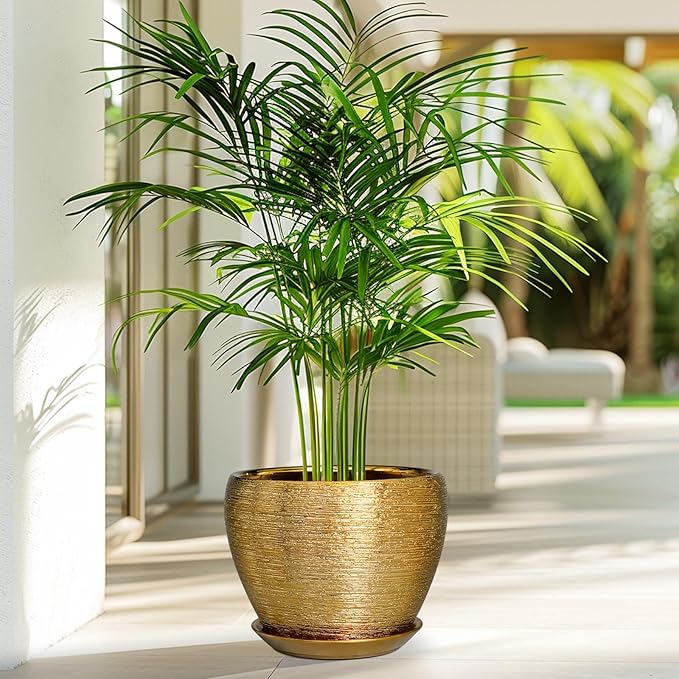 Ceramic Plant Pot 8 Inch - Planter for Outdoor Plants Indoor Plant Pot with Drainage Hole and Saucer Decorative Round Planter Modern Flower Pot for House Decor Gold
