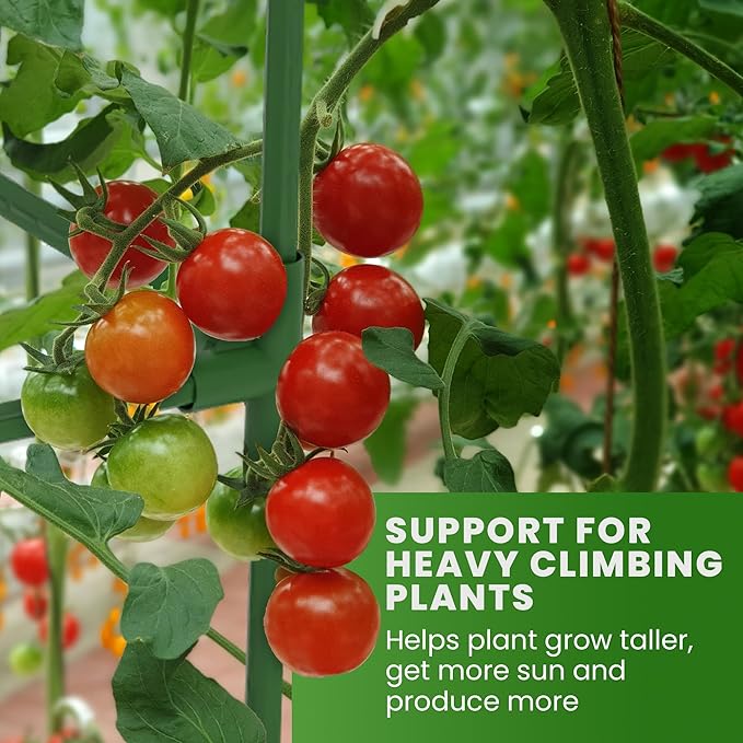 Tomato Cage Square - Large Trellis Stakes and Plant Support Structures for Vegetables and Climbing Plants - Tall Tomato Cages for Garden, Pots, Raised Garden Bed Outdoor Supplies (1 Pack - Up to 41")