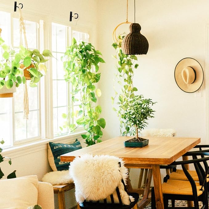 Ceiling Hooks for Hanging Plant, Hanger for Indoor and Outdoor Plant Pots Holder, Wall Hook for Planters, Flower Basket, Wind Chimes, Lanterns, Lights, Bird Feeders, Home Decor-2.5Inch 2Pack
