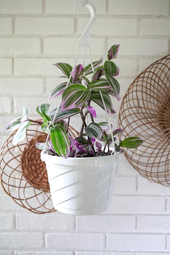 The HC Companies 12 Inch Euro Hanging Planters, Lightweight UV-Resistant Plastic Hanging Planters for Indoor & Outdoor Plants, 2-Pack Hanging Flower Pots for Garden, Patio & Home Decor, White