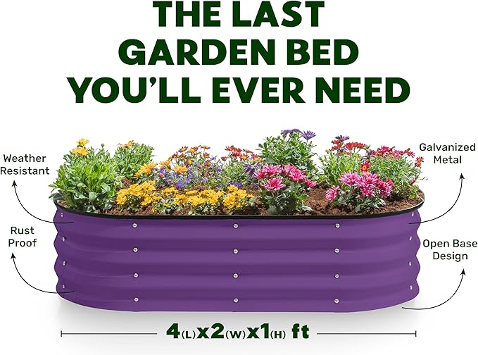 Plant & Plot Galvanized Raised Garden Beds Outdoor // 4×2×1 ft Planter Raised Beds for Gardening, Vegetables, Flowers (Purple) // Large Metal Garden Box