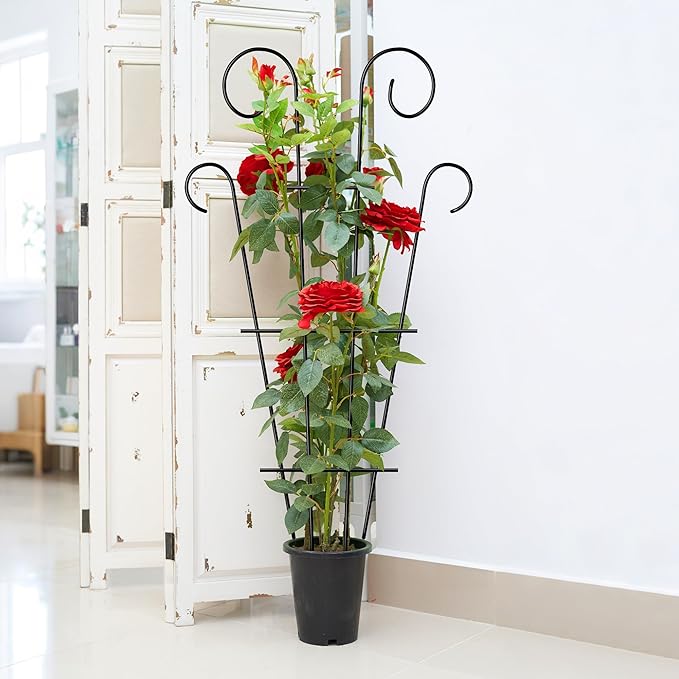 4 Pack 43'' Indoor Plant Trellis for Potted Plants Climbing, Outdoor Metal Garden Trellis Houseplants Flowers Vine Ivy, Wave Shape, Black