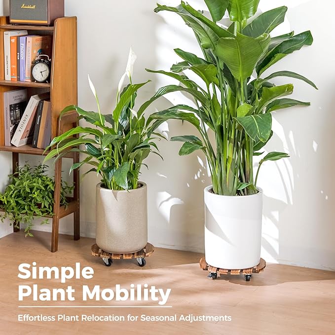 Bamworld14 Inch Wood Plant Caddy with Wheels – Heavy-Duty Plant Dolly with 240 Lbs Capacity, 360° Lockable Wheels for Large Plant Pots, Heavy Objects, Ideal for Indoor and Outdoor Use 2-Pack