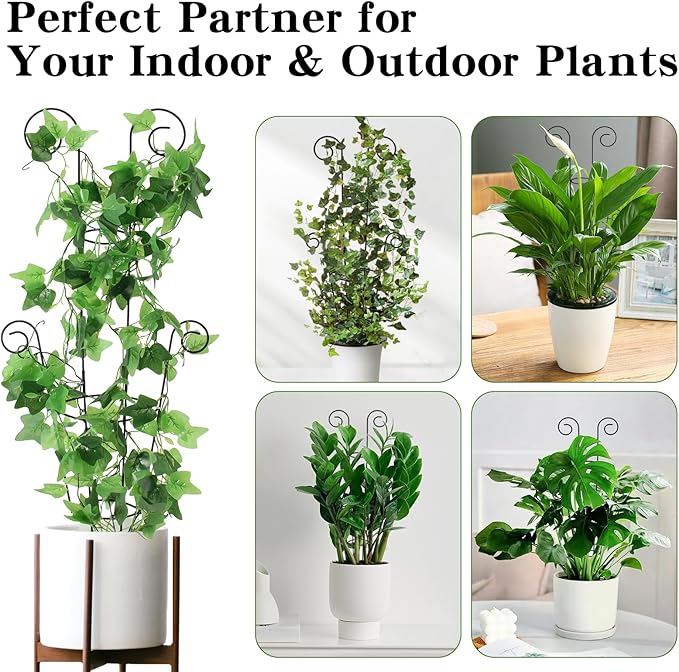 ZOUTOG Trellis for Climbing Plants Indoor 4 Pack 30 Inch,Rustproof Metal Garden Trellis for Potted Plants,Sturdy Houseplant Support Indoor Outdoor for Ivy Pothos Monstera Hoya Flower Vine(Black Round)