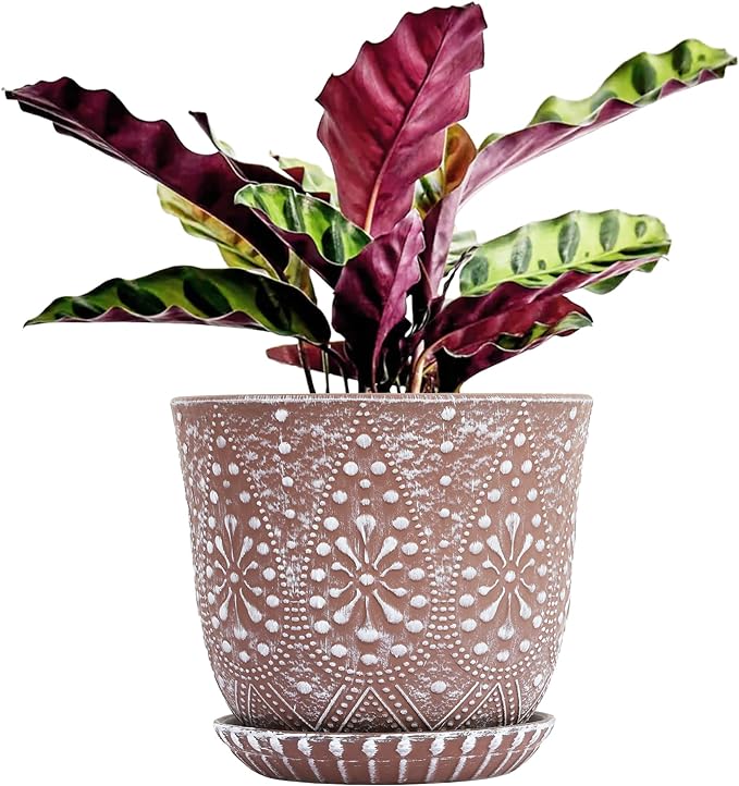 Gepege 10 Inch Plant Pot, Ceramic Planter with Drainage Holes and Saucers for Plants Indoor and Outdoor Flower Pot