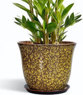 Ceramic Pots for Plants - 10 Inch Plant Pot for Indoor Outdoor, Round Planter with Drainage Hole and Saucer, Modern Flower Pot, Decorative Planters, Home Garden Decor, Birthday Gift, Yellow