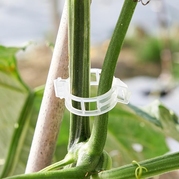 100 Pcs Plant Support Clips,Plastic Clips for Securing Plants,Tomato Vine Clips,Plant Fixing Clips,Garden Clips for Climbing Plants,Grape and Vine Vegetables (100, White)