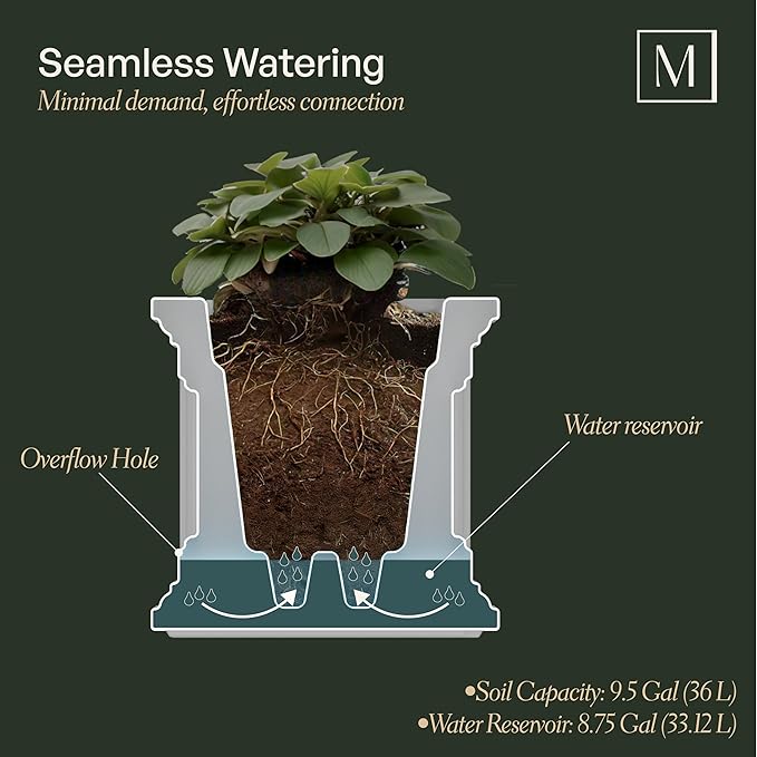 Mayne Fairfield 20-Inch Square Planter – Self-Watering, Weather-Resistant Planter for Flowers – Durable Outdoor Design for Patio, Porch, or Entryway, Graphite Grey
