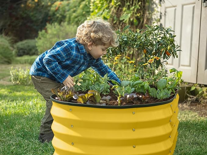 Plant & Plot Galvanized Raised Garden Beds Outdoor // 4×2×1 ft Planter Raised Beds for Gardening, Vegetables, Flowers (Yellow) // Large Metal Garden Box