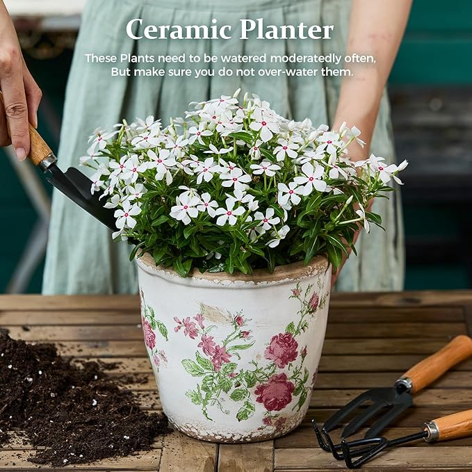 Vintage Ceramic Planter with Drainage Hole, Plastic Tray & Mesh, 5.5 Inch - Indoor/Outdoor Flower Pot, Pink Floral Rustic Farmhouse Design Plant pot for Home, Office & Garden Décor, Ideal Gift