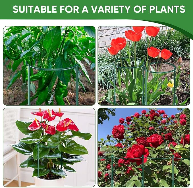 8 Pack 32 or 16 inch Adjustable Plant Support Stakes, Heavy-Duty Half Round Peony Support, Garden Plant Stakes Cage for Outdoor Plants, Peony, Tomato, Hydrangea, (16In Support +16In Extension Tubes)