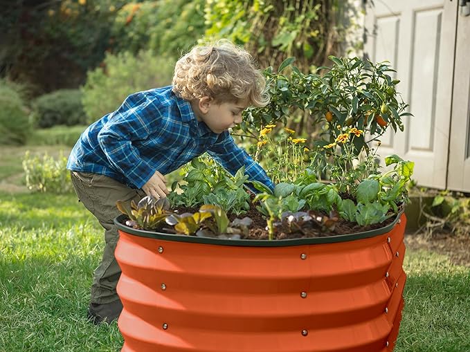 Plant & Plot Galvanized Raised Garden Beds Outdoor // 4×2×1 ft (2-Pack) Planter Raised Beds for Gardening, Vegetables, Flowers (Orange) // Large Metal Garden Box