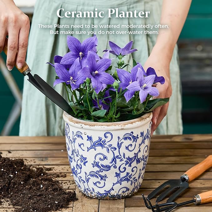 Vintage Ceramic Planter Without Drainage Hole, 6.5 Inch - Indoor/Outdoor Flower Pot for Orchids, Succulents, Blue Floral Rustic Farmhouse Plant Pot for Home, Office & Garden Décor, Ideal Gift
