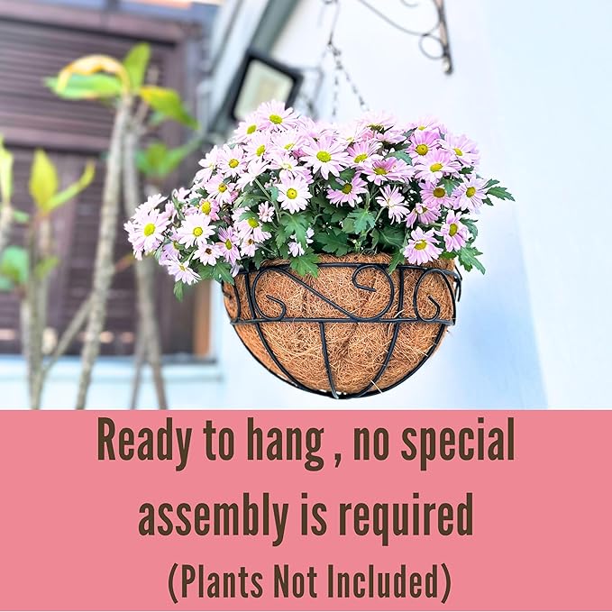 LaLaGreen Hanging Planter for Outdoor Plants (16 Inch, 4 Pack) Hanging Baskets with Coco Liner, Black Metal Wire Flower Basket Pots with Hook Hanger Balcony Porch Farmhouse Country Style Garden Decor