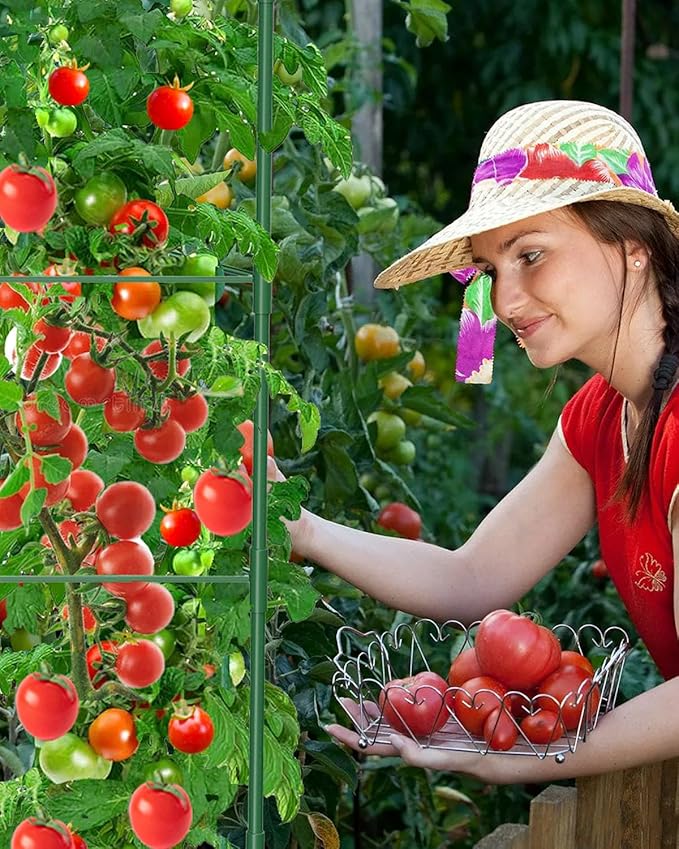 6 Pack Tomato Cages for Garden, 51in*13in Adjustable Tomatoes Plant Stakes Support Cages Trellis, Garden Trellis for Vegetable Flowers Fruits Climbing Plants- 20 Binding Wires Included