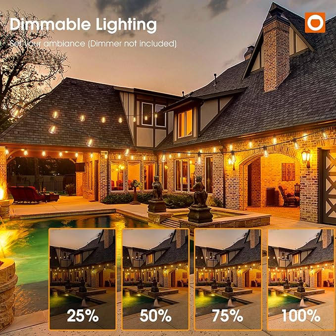 addlon 48FT(2FT Space) LED Outdoor String Lights with 24 Edison Shatterproof Bulbs, Heavy-Duty and Weatherproof Strand, Commercial Grade Patio Lights, Decorative for Garden or Patio, Black