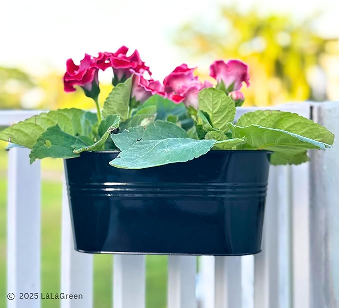 LaLaGreen Outdoor Rail Planter (11.8 Inch, 4 Pack) Black Metal Iron Hanging Flower Pots Deck Railings Fence Buckets Modern Countryside Boho Style Wall Mount Window Box Plant Holder Hooks Porch Decor