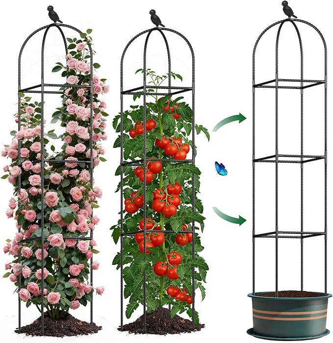 Square Tomato Cages for Garden, 6.2 FT Cucumber Trellis for Flowers, Grape, Pea, Rose, Bean, Rustproof Plastic Coated Metal Plant Support for Potted Plants Indoor Outdoor- 1PC Obelisk Trellis